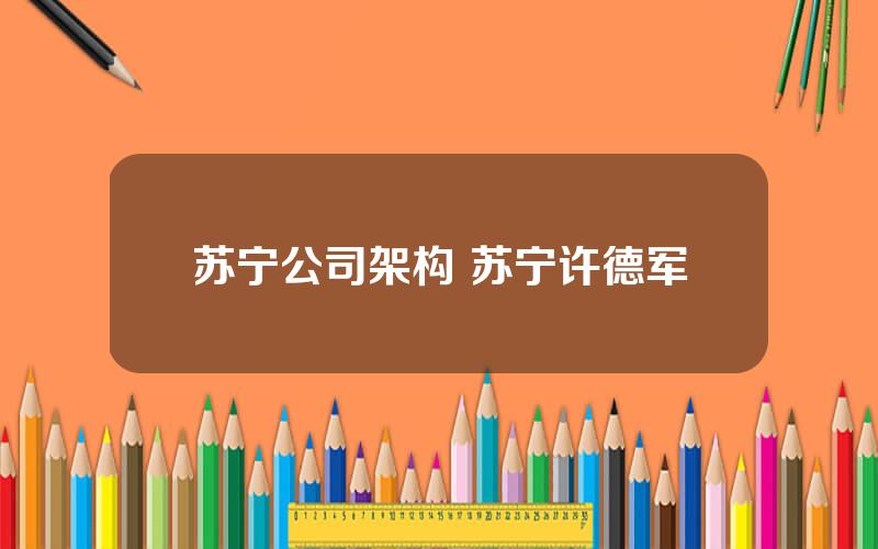 苏宁公司架构 苏宁许德军